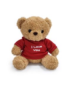 I Love You Teddy Toy